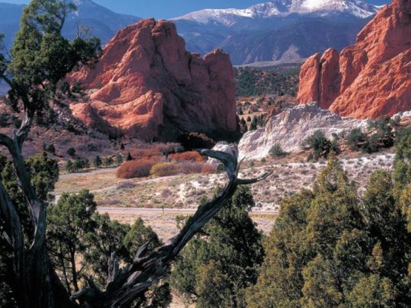 ColoradoSprings_garden-cc01fa97 image ColoradoSprings_garden-cc01fa97 Activity Locations Summit County, The Vail Valley & Leadville