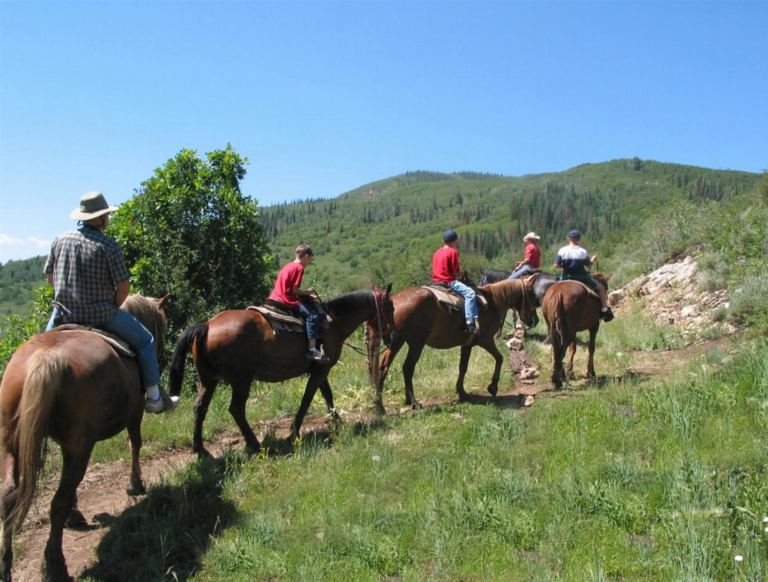 horseback-slide-2-cf7a091a image horseback-slide-2-cf7a091a Things To Do In Colorado - Summer & Winter Activities